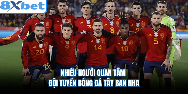 Nhiều người quan tâm đội tuyển bóng đá Tây Ban Nha